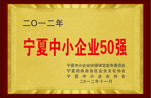 荣获2012年宁夏中小企业50强.jpg